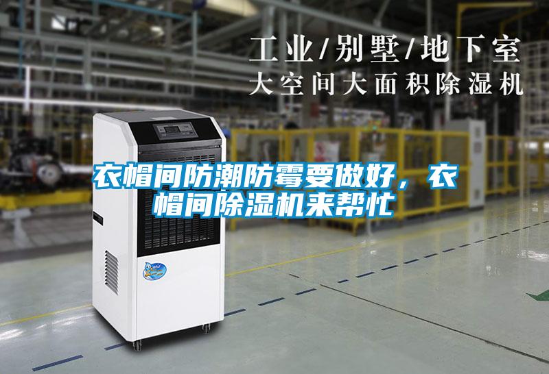 衣帽間防潮防霉要做好，衣帽間除濕機來幫忙