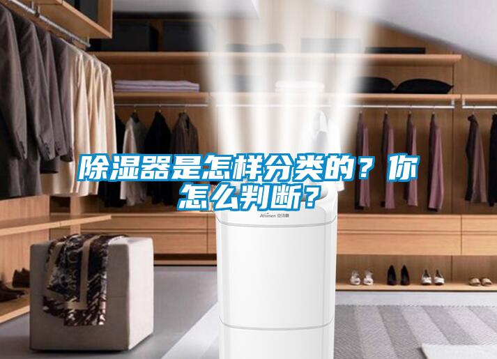 除濕器是怎樣分類(lèi)的？你怎么判斷？