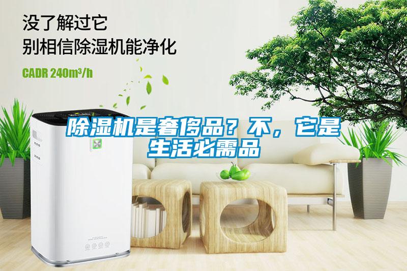 除濕機是奢侈品？不，它是生活必需品