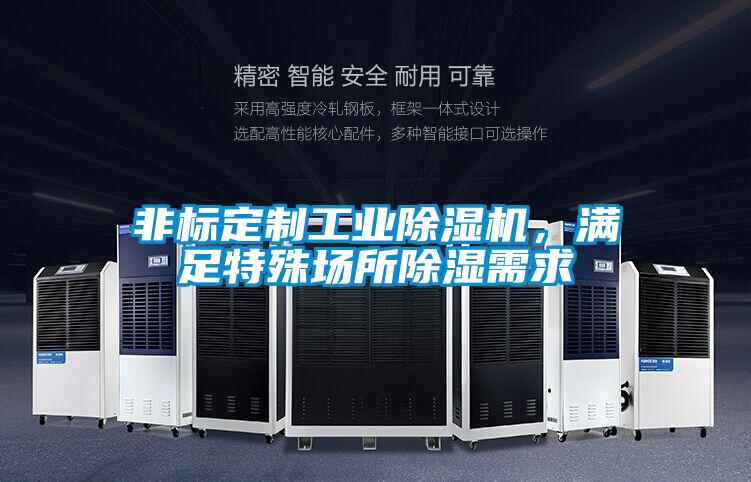 非標(biāo)定制工業(yè)除濕機(jī),滿足特殊場(chǎng)所除濕需求