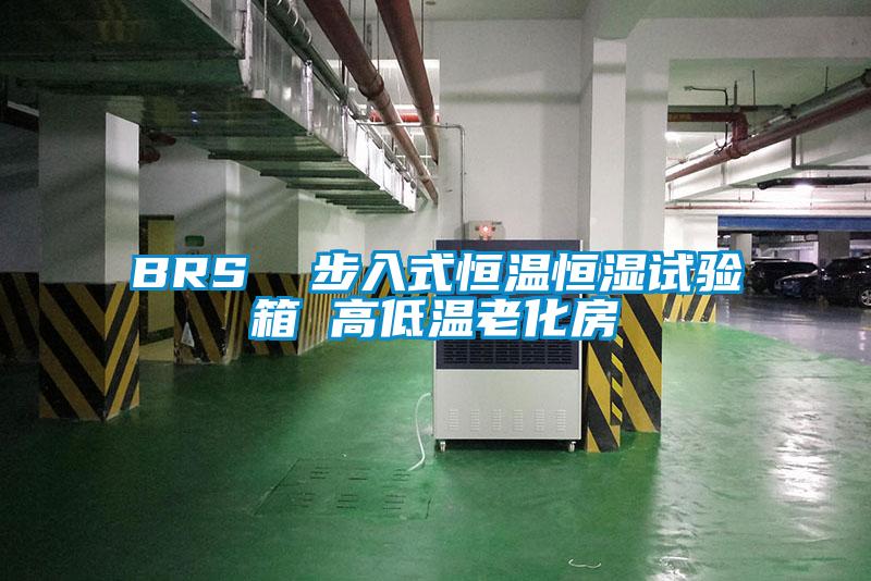 BRS  步入式恒溫恒濕試驗(yàn)箱 高低溫老化房