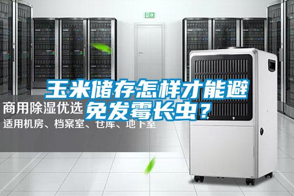 玉米儲(chǔ)存怎樣才能避免發(fā)霉長(zhǎng)蟲?