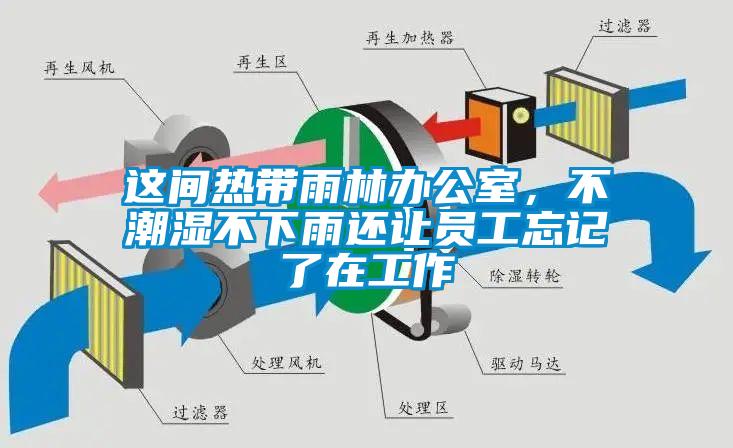 這間熱帶雨林辦公室，不潮濕不下雨還讓員工忘記了在工作