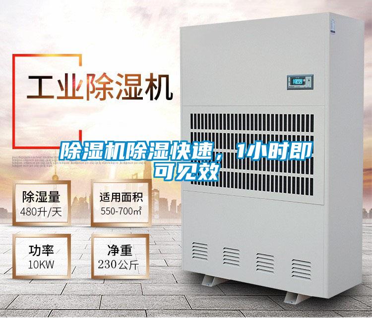 除濕機(jī)除濕快速，1小時(shí)即可見效