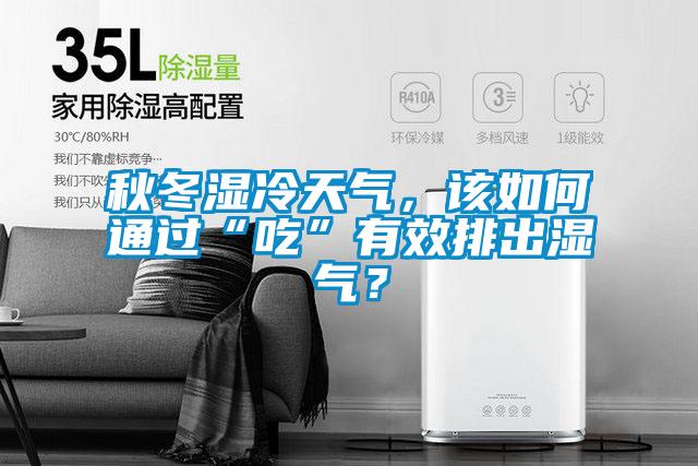 秋冬濕冷天氣，該如何通過“吃”有效排出濕氣？