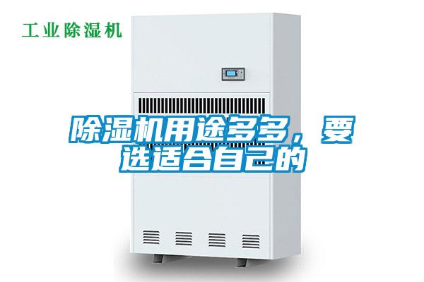 除濕機用途多多，要選適合自己的