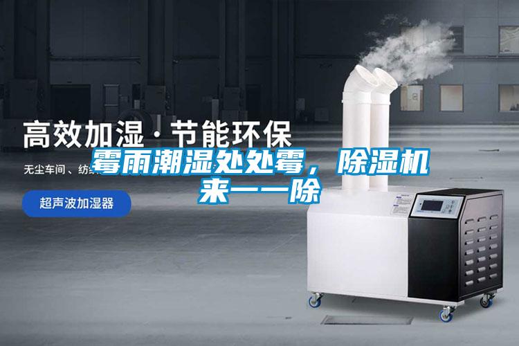 霉雨潮濕處處霉，除濕機(jī)來(lái)一一除