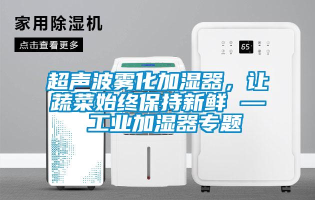 超聲波霧化加濕器，讓蔬菜始終保持新鮮 — 工業加濕器專題