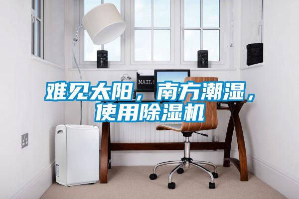 難見太陽，南方潮濕，使用除濕機