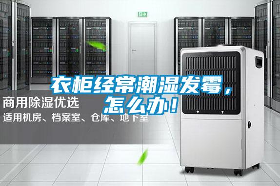 衣柜經常潮濕發霉，怎么辦！