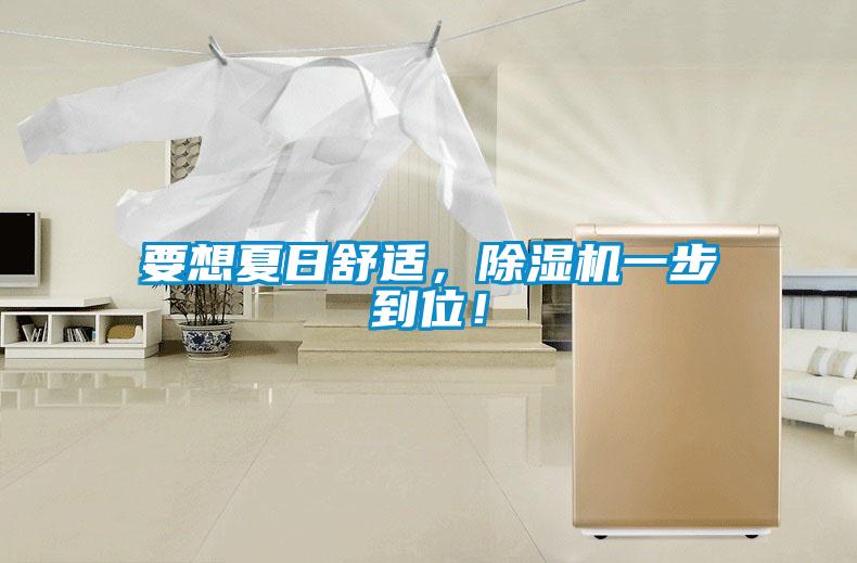 要想夏日舒適，除濕機一步到位！