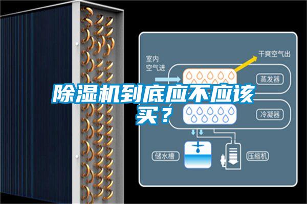 除濕機到底應不應該買？