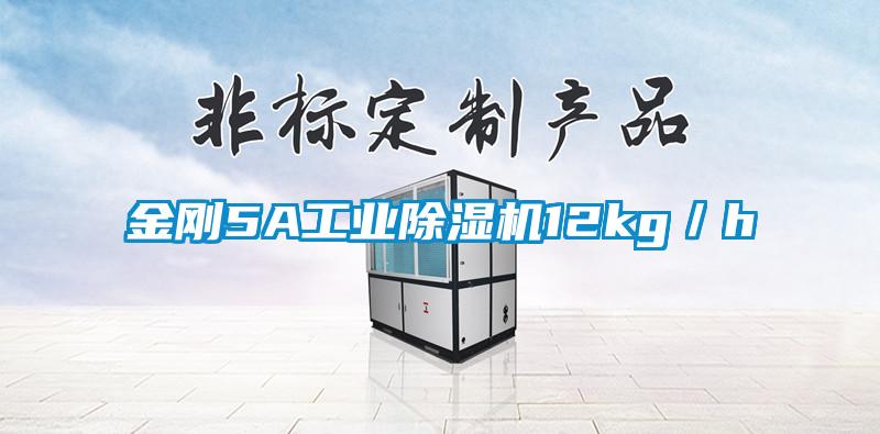 金剛5A工業除濕機12kg／h
