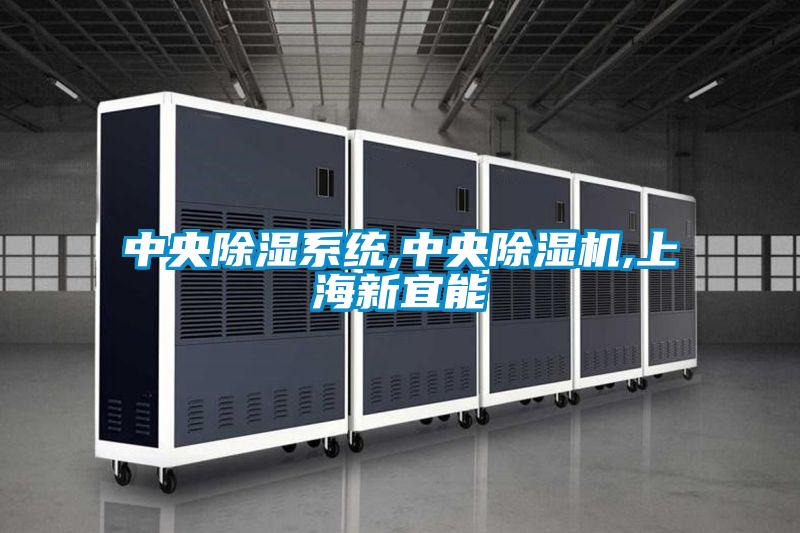 中央除濕系統,中央除濕機,上海新宜能