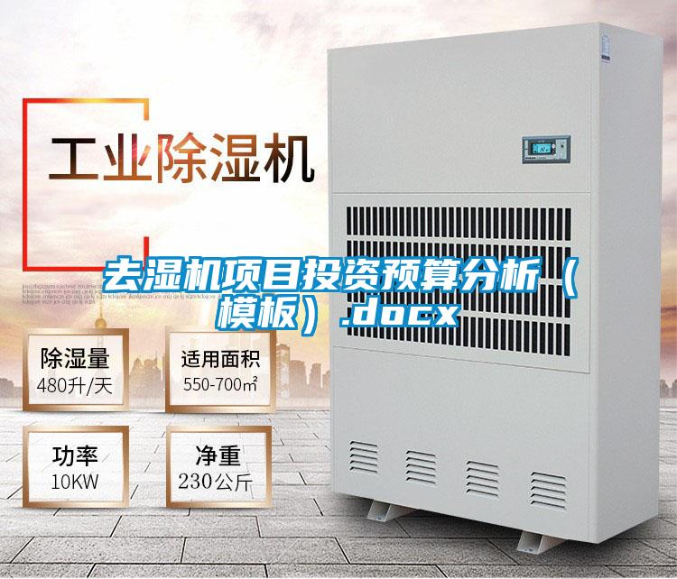 去濕機項目投資預算分析(模板).docx