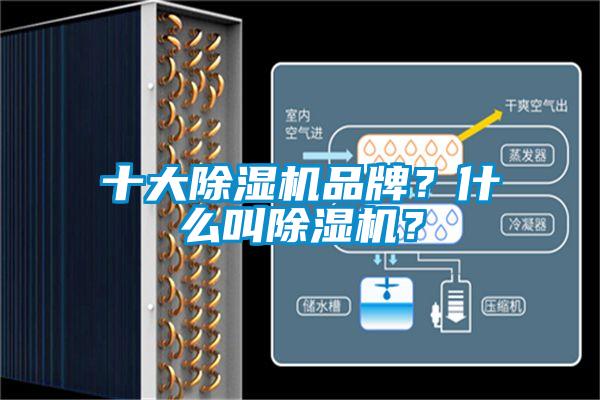 十大除濕機(jī)品牌？什么叫除濕機(jī)？