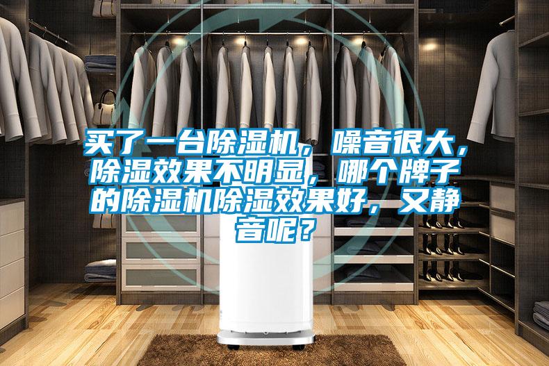 買了一臺除濕機，噪音很大，除濕效果不明顯，哪個牌子的除濕機除濕效果好，又靜音呢？