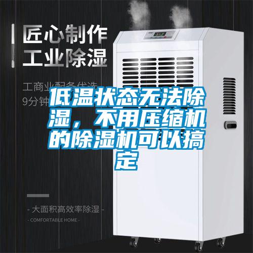 低溫狀態(tài)無法除濕,不用壓縮機(jī)的除濕機(jī)可以搞定