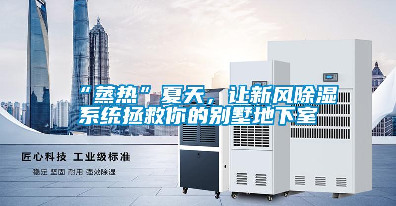 “蒸熱”夏天，讓新風除濕系統拯救你的別墅地下室