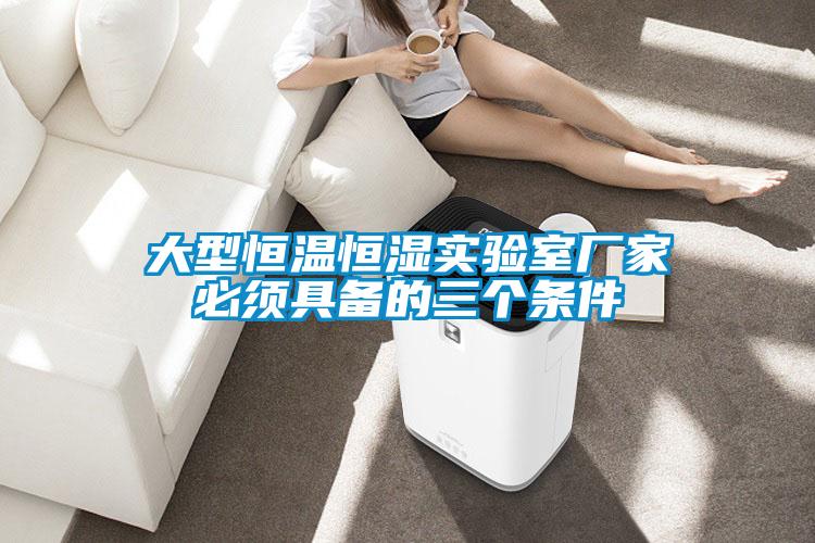 大型恒溫恒濕實(shí)驗(yàn)室廠(chǎng)家必須具備的三個(gè)條件