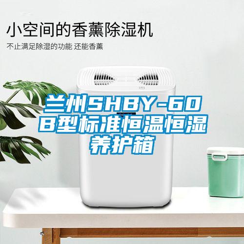 蘭州SHBY-60B型標準恒溫恒濕養(yǎng)護箱