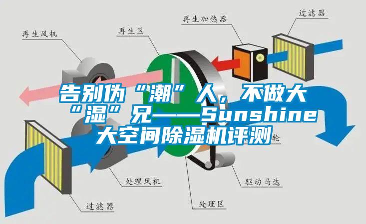 告別偽“潮”人，不做大“濕”兄——Sunshine大空間除濕機評測