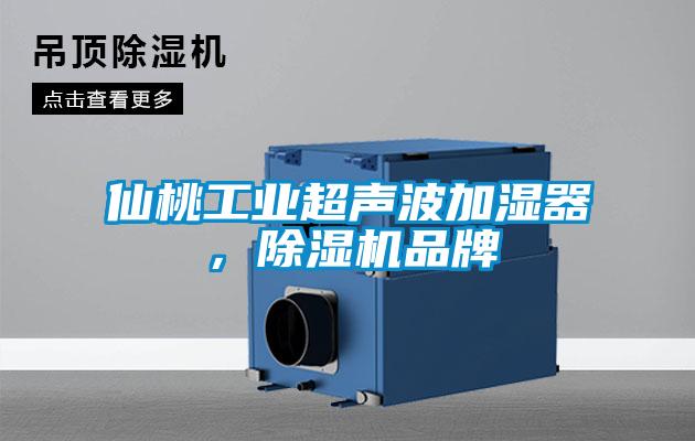 仙桃工業超聲波加濕器,除濕機品牌