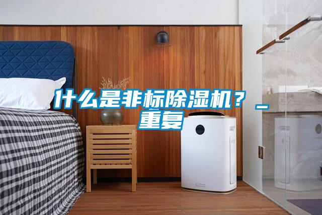 什么是非標(biāo)除濕機？_重復(fù)