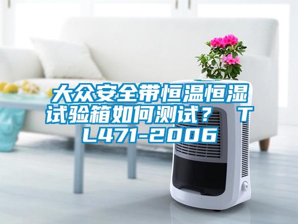 大眾安全帶恒溫恒濕試驗(yàn)箱如何測(cè)試? TL471-2006