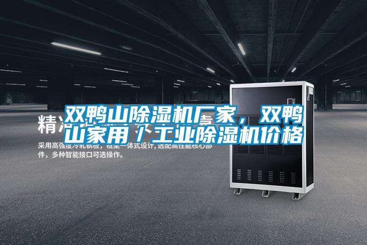 雙鴨山除濕機廠家，雙鴨山家用／工業除濕機價格