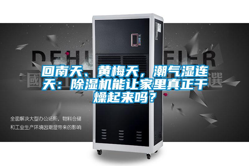 回南天、黃梅天，潮氣濕連天：除濕機能讓家里真正干燥起來嗎？