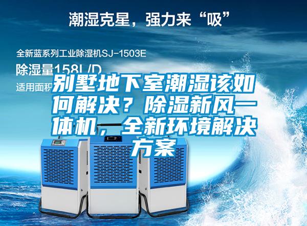 別墅地下室潮濕該如何解決？除濕新風一體機，全新環境解決方案