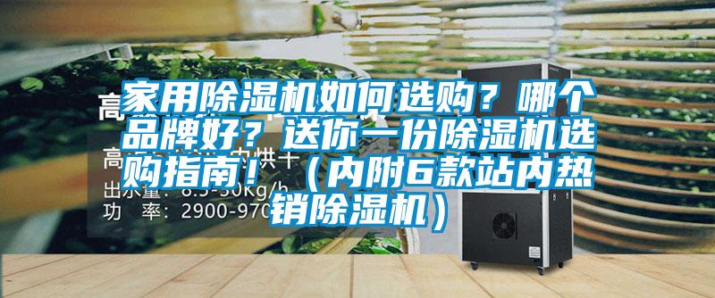 家用除濕機如何選購？哪個品牌好？送你一份除濕機選購指南！（內附6款站內熱銷除濕機）