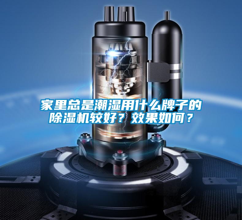 家里總是潮濕用什么牌子的除濕機較好？效果如何？