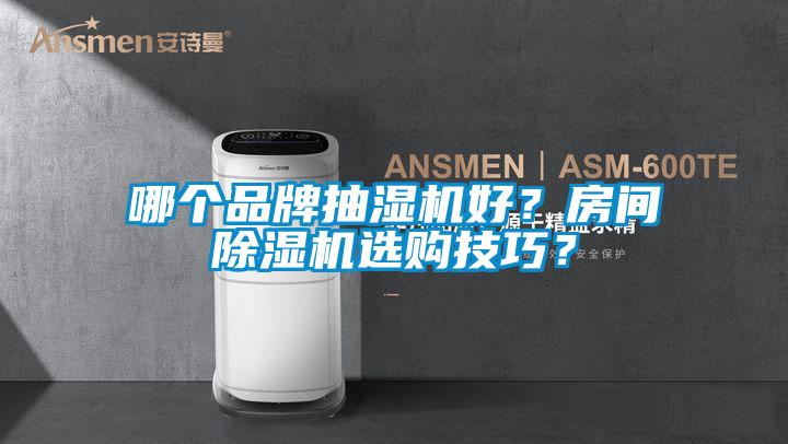 哪個品牌抽濕機好？房間除濕機選購技巧？