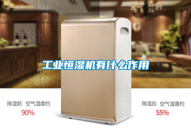 工業(yè)恒濕機有什么作用