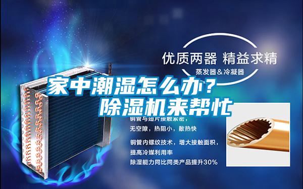 家中潮濕怎么辦? 除濕機來幫忙