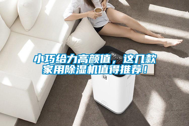 小巧給力高顏值,這幾款家用除濕機(jī)值得推薦!