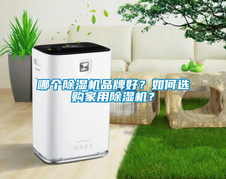 哪個除濕機品牌好？如何選購家用除濕機？