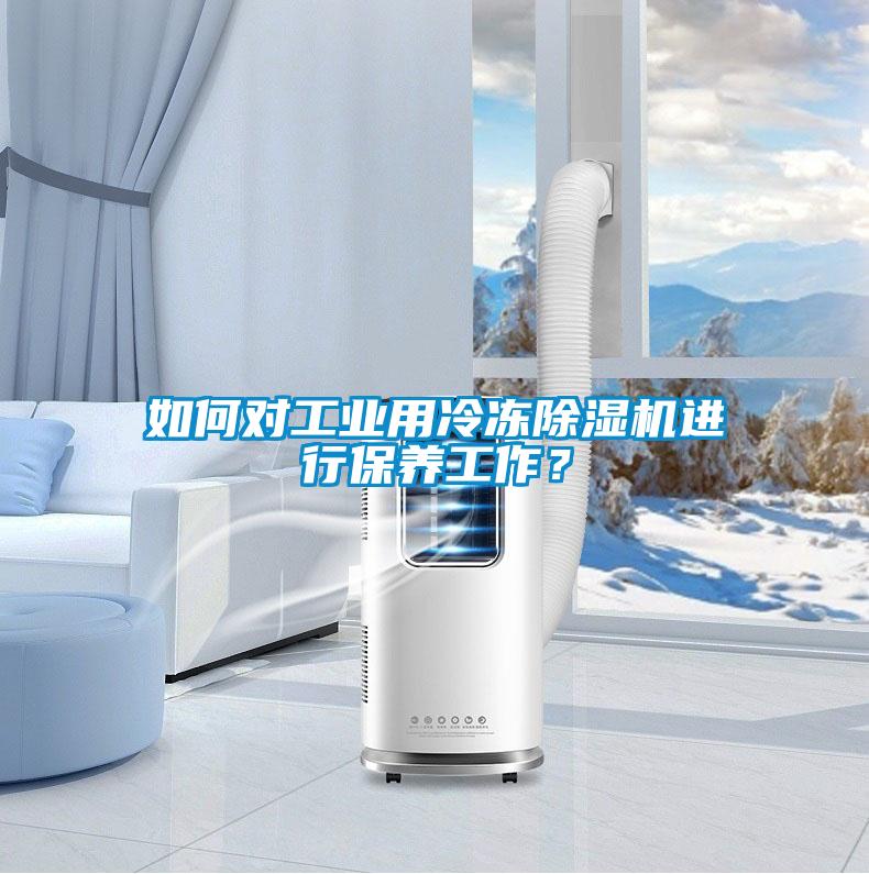 如何對工業(yè)用冷凍除濕機進行保養(yǎng)工作?