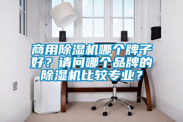商用除濕機哪個牌子好？請問哪個品牌的除濕機比較專業(yè)？