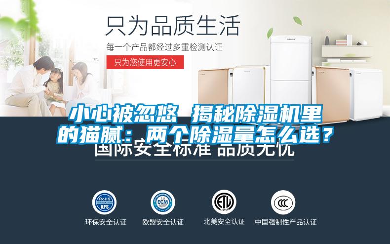 小心被忽悠 揭秘除濕機里的貓膩：兩個除濕量怎么選？