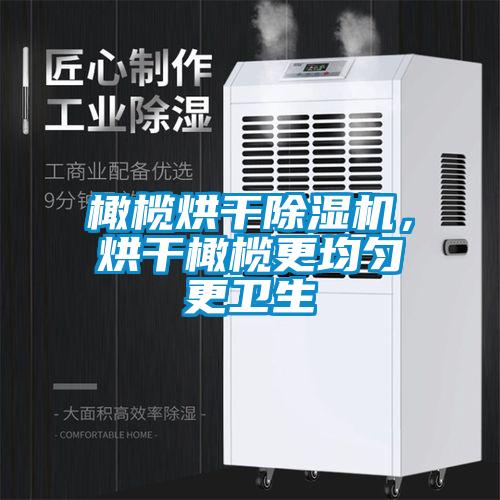 橄欖烘干除濕機，烘干橄欖更均勻更衛生