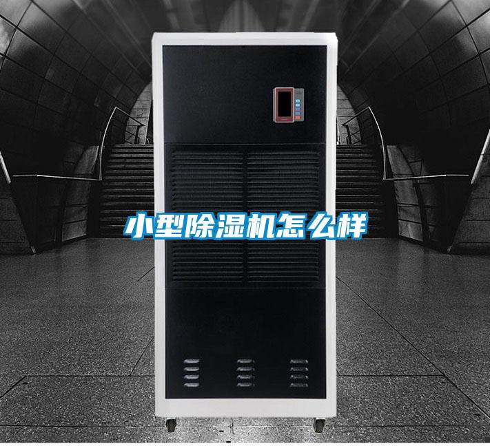小型除濕機怎么樣