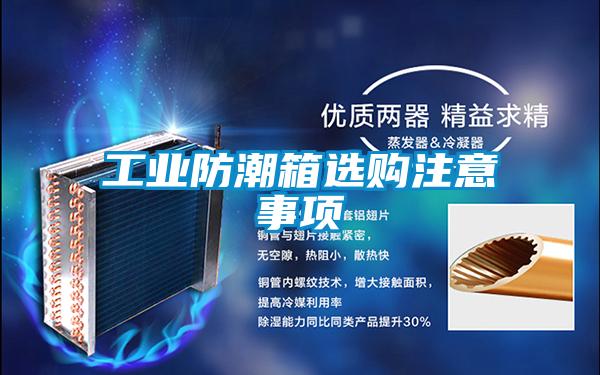 工業(yè)防潮箱選購(gòu)注意事項(xiàng)