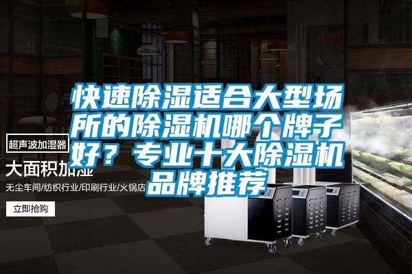 快速除濕適合大型場所的除濕機哪個牌子好？專業十大除濕機品牌推薦