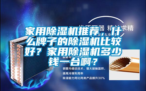 家用除濕機(jī)推薦,什么牌子的除濕機(jī)比較好?家用除濕機(jī)多少錢一臺啊?