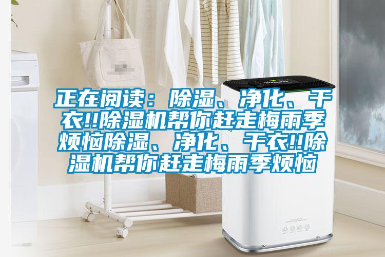 正在閱讀：除濕、凈化、干衣!!除濕機(jī)幫你趕走梅雨季煩惱除濕、凈化、干衣!!除濕機(jī)幫你趕走梅雨季煩惱