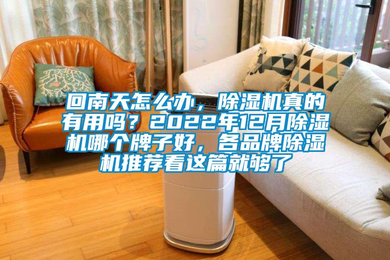 回南天怎么辦，除濕機真的有用嗎？2022年12月除濕機哪個牌子好，各品牌除濕機推薦看這篇就夠了