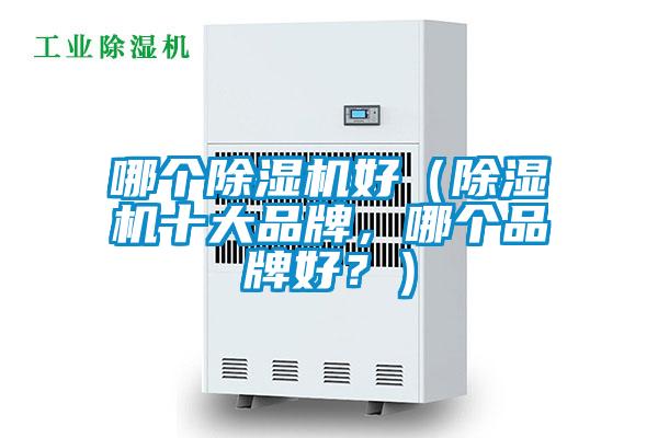 哪個除濕機好（除濕機十大品牌，哪個品牌好？）
